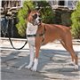 PetSafe Harnais pour chiens Easy Walk S Noir