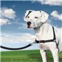 PetSafe Harnais pour chiens Easy Walk M Noir