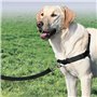 PetSafe Harnais pour chiens Easy Walk L Noir