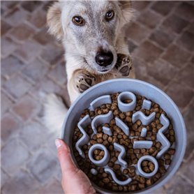 DISTRICT70 Mangeoire lente pour chiens Bambou 28 cm Bleu glace