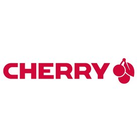 CHERRY KC 1000 clavier USB QWERTZ Allemand Gris