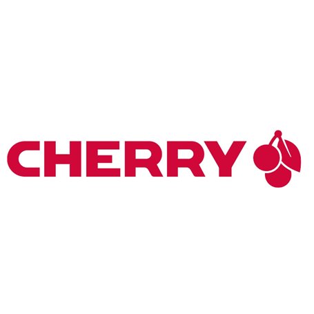 CHERRY KC 1000 clavier USB QWERTZ Allemand Gris