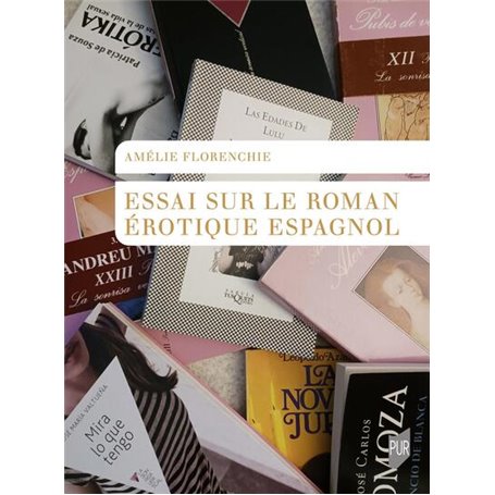 Essai sur le roman érotique espagnol