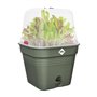 ELHO Green Basics Pot De Cult Car Allin1 30 - Vert - Ø 30 x H 25 cm - culture et récolte - 100% recyclé