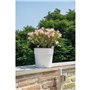 Pot de fleur - DEROMA - Vaso Save R - 58L - 48cm - Blanc