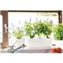 Jardiniere - DEROMA - Muret Save R - 75L - 79cm - Blanc