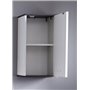 Armoire salle de bain - CALIFORNIA - Blanc/Argent fumée - 32 x 60 x 74 cm