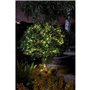 Guirlande solaire extérieure LUCIOLE 200 leds blanc chaud - SMART GARDEN - 21.9m