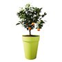 ELHO Pot de fleurs rond haut Loft Urban - Ø 28 cm - Blanc