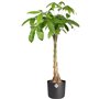 ELHO B.for Soft Pot de fleurs rond 25 - Noir - Ø 25 x H 23 cm - intérieur - 100% recyclé