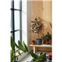 ELHO B.for Soft Pot de fleurs rond 25 - Noir - Ø 25 x H 23 cm - intérieur - 100% recyclé