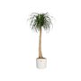 ELHO B.for Soft Pot de fleurs rond 35 - Blanc - Ø 35 x H 32 cm - intérieur - 100% recyclé