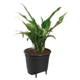 Elho Self-watering Insert Pot a fleurs 33 - Noir - Ø 33 x H 31 cm - intérieuraccessoires - 100% recyclé