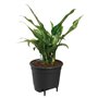 Elho Self-watering Insert Pot a fleurs 33 - Noir - Ø 33 x H 31 cm - intérieuraccessoires - 100% recyclé