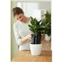 Elho Self-watering Insert Pot a fleurs 33 - Noir - Ø 33 x H 31 cm - intérieuraccessoires - 100% recyclé