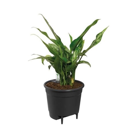 Elho Self-watering Insert Pot a fleurs 44 - Noir - Ø 43 x H 39 cm - intérieuraccessoires - 100% recyclé