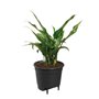 Elho Self-watering Insert Pot a fleurs 44 - Noir - Ø 43 x H 39 cm - intérieuraccessoires - 100% recyclé