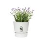 elho  Greenville Pflanztopf Ø47 cm Pot a Plantes weiß - 123