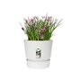 elho  Greenville Pflanztopf Ø47 cm Pot a Plantes weiß - 123