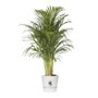 elho  Greenville Pflanztopf Ø47 cm Pot a Plantes weiß - 123