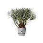 ELHO Pot de fleurs rond Greenville 40 - Extérieur - Ø 39 x H 36,8 cm - Gris béton vivant