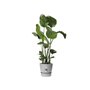 ELHO Pot de fleurs rond Greenville 40 - Extérieur - Ø 39 x H 36,8 cm - Gris béton vivant