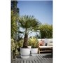 ELHO Pot de fleurs rond Greenville 40 - Extérieur - Ø 39 x H 36,8 cm - Gris béton vivant