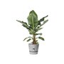 ELHO Greenville Pot de fleurs rondØ 47 x H 44 cm - extérieur - 100 47 - Gris - % recyclé