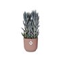 ELHO Vibes Fold Pot de fleurs rond Roues 35 - Rose - Ø 35 x H 32 cm - intérieur - 100% recyclé