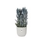 ELHO Vibes Fold Pot de fleurs rond Roues 35 - Blanc - Ø 35 x H 32 cm - intérieur - 100% recyclé