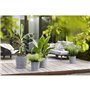 Pot de fleur Elho Plastique Carré Greensense Aqua Care Ciment Clair Ø 43 x H 42.5 cm 39 L