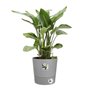 Pot de fleur Elho Plastique Carré Greensense Aqua Care Ciment Clair Ø 43 x H 42.5 cm 39 L