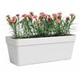 Jardiniere - ARTEVASI - Rectangulaire - Plastique - Blanc