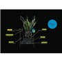 Pot de fleur LECHUZA Canto Stone Cube 40 - kit complet LED, noir graphite