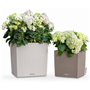 Pot de fleur LECHUZA Cube Cottage 50 - kit complet, gris clair