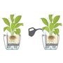 Pot de fleur LECHUZA Classico Premium LS 50  - kit complet, anthracite métallisé