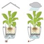 Pot de fleur LECHUZA Classico Premium LS 50  - kit complet, anthracite métallisé