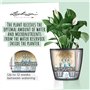 Pot de fleur LECHUZA Classico Premium LS 50  - kit complet, argent métallisé