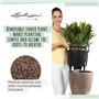 Pot de fleur LECHUZA Classico Premium LS 50  - kit complet, argent métallisé