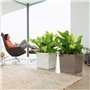 Pot de fleur LECHUZA Cube Premium 40 - kit complet, anthracite métallisé