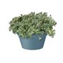 ELHO Pot de fleurs Loft Urban - Coupe 35 cm - Bleu vintage