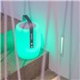 Lampe enceinte bluetooth sans fil - LUMISKY - LUCY PLAY - H31 cm - LED blanc et multicolore dimmable