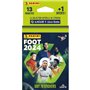 Carte a collectionner Panini Foot 2024 Ligue 1 - Blister 13 pochettes + 1 offert