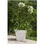 Bac a fleurs carré RIVIERA SOLEILLA - Plastique - 40x40 cm - Blanc