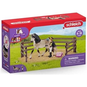 schleich HORSE CLUB Kit de Soin pour Chevaux Andalous