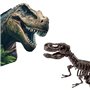 Fouille de dinosaures et de squelettes 2 en 1 - T-rex - SES CREATIVE