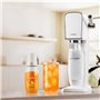 Lot de 6 Concentrés Saveur AGRUMES SODASTREAM - 440ml