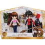 Harry Potter - Coffret Deluxe Poupée 20cm Harry Potter et Hermione - Wizarding World - 4 tenues et 12 accessoires