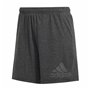 Short de Sport pour Femme Adidas Future Icons Winners Gris foncé