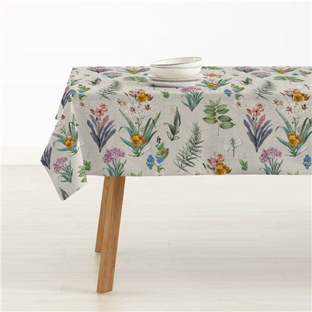 Nappe enduite antitache Belum 0120-349 Multicouleur 100 x 150 cm